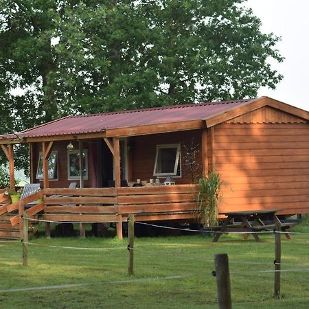 Ferienwohnung Tiny House Het Reebokje Vriescheloo Exterior foto