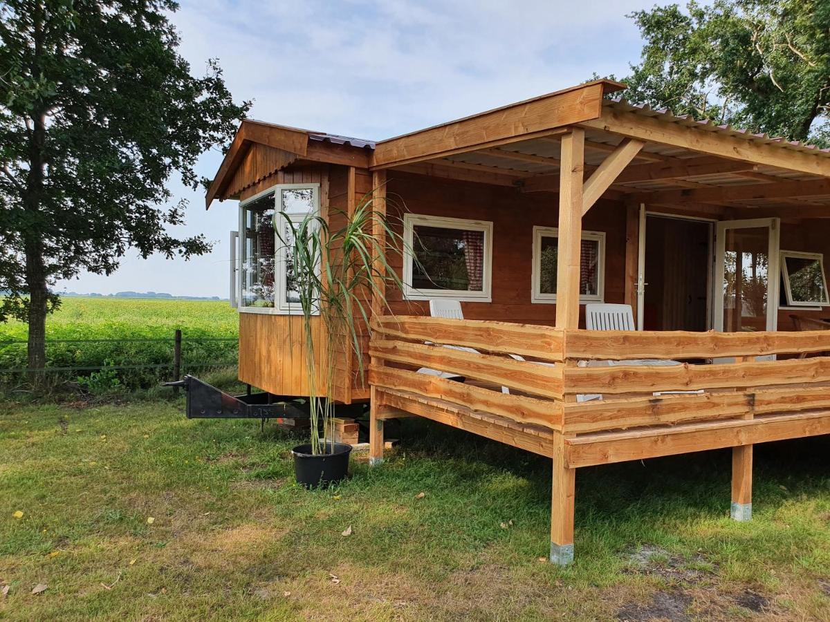Ferienwohnung Tiny House Het Reebokje Vriescheloo Exterior foto